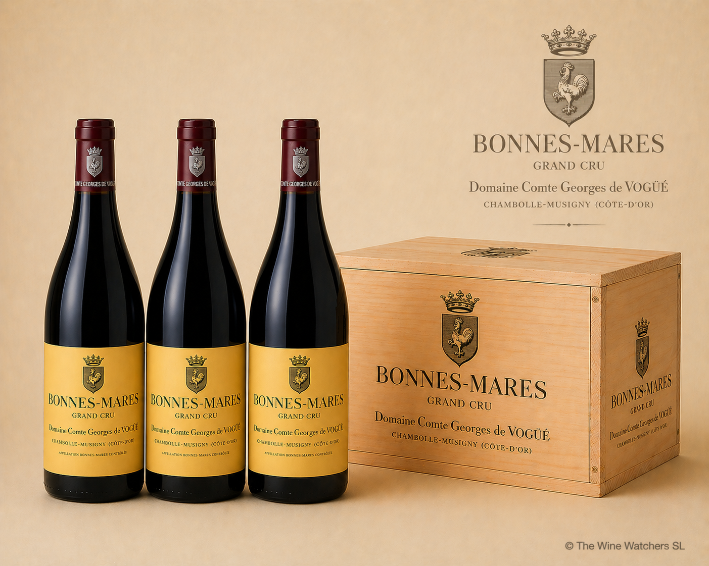 Bouteille de Bonnes-Mares Grand Cru 2023 - Côte de Nuits